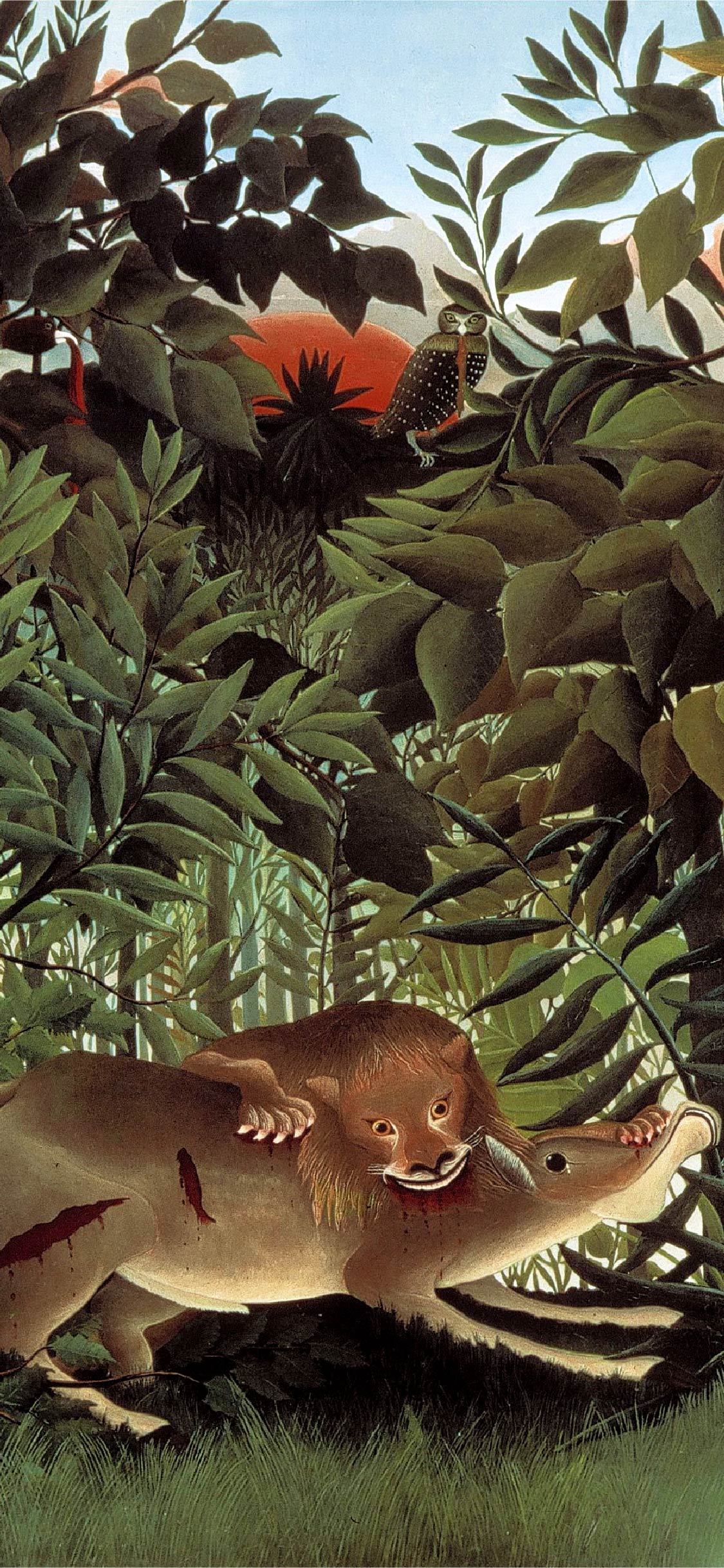 THenri-Rousseau-The-Hungry- 