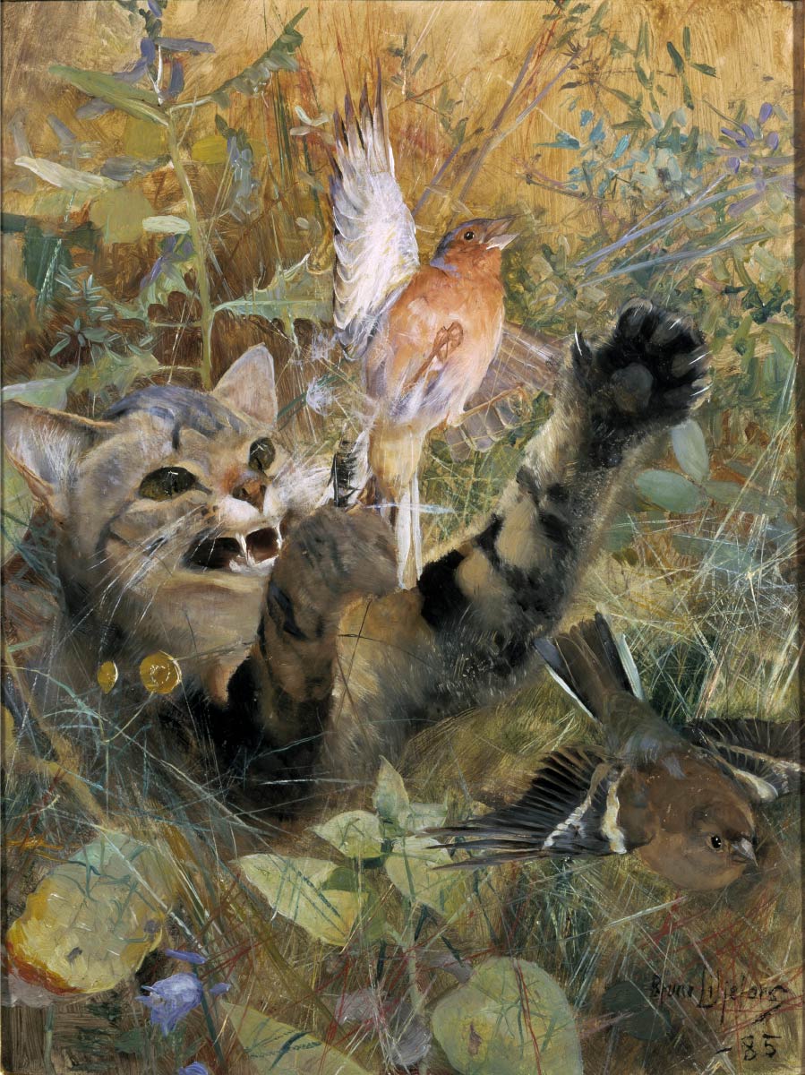 【無料壁紙】ブルーノ・リリエフォッシュ「猫とズアオアトリ (1885)」 / Bruno Liljefors_A Cat and a Chaffinch (1885)