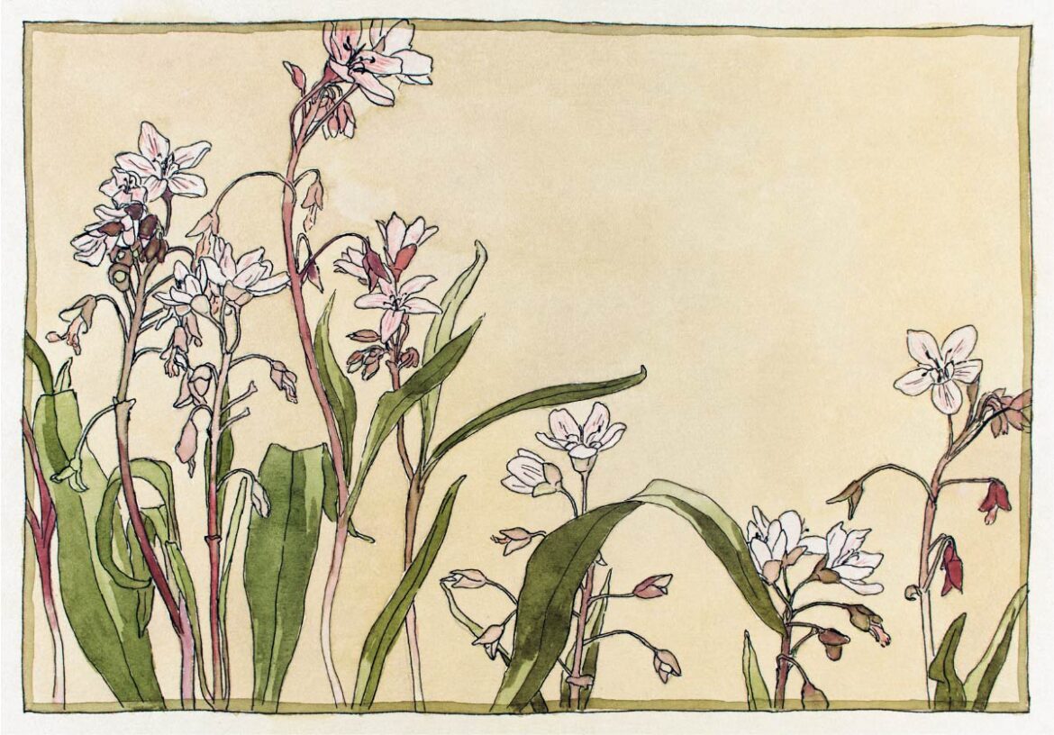 【無料壁紙】ハンナ・ボーガン・オヴァーベック「クレイトニア (1915)」 / Hannah Borger Overbeck_Spring Beauty (1915)