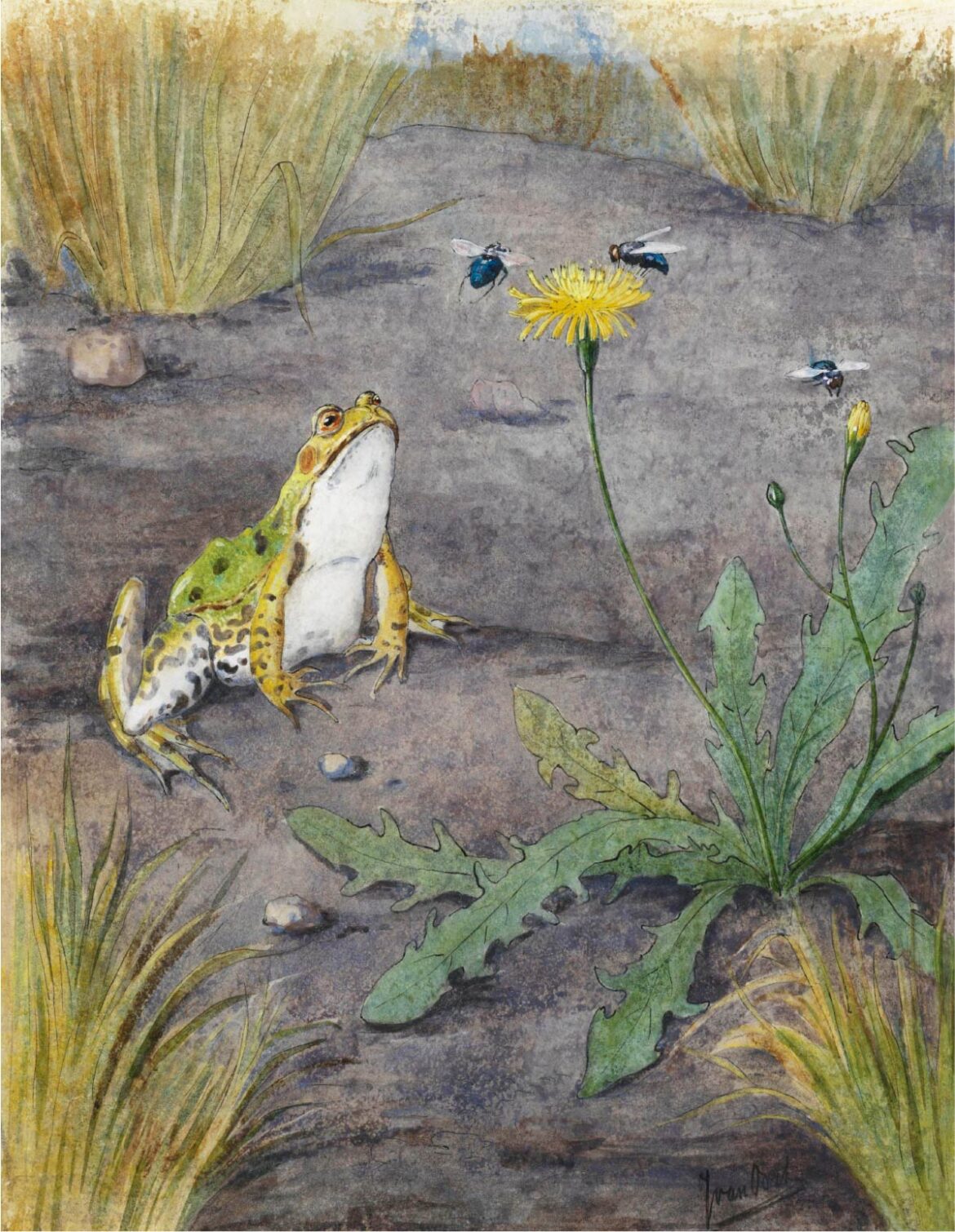 【無料壁紙】ヤン・ファン・オールト「カエルとタンポポとハエ」 / Jan van Oort_Frog by a Dandelion with Flies (1877–1938)