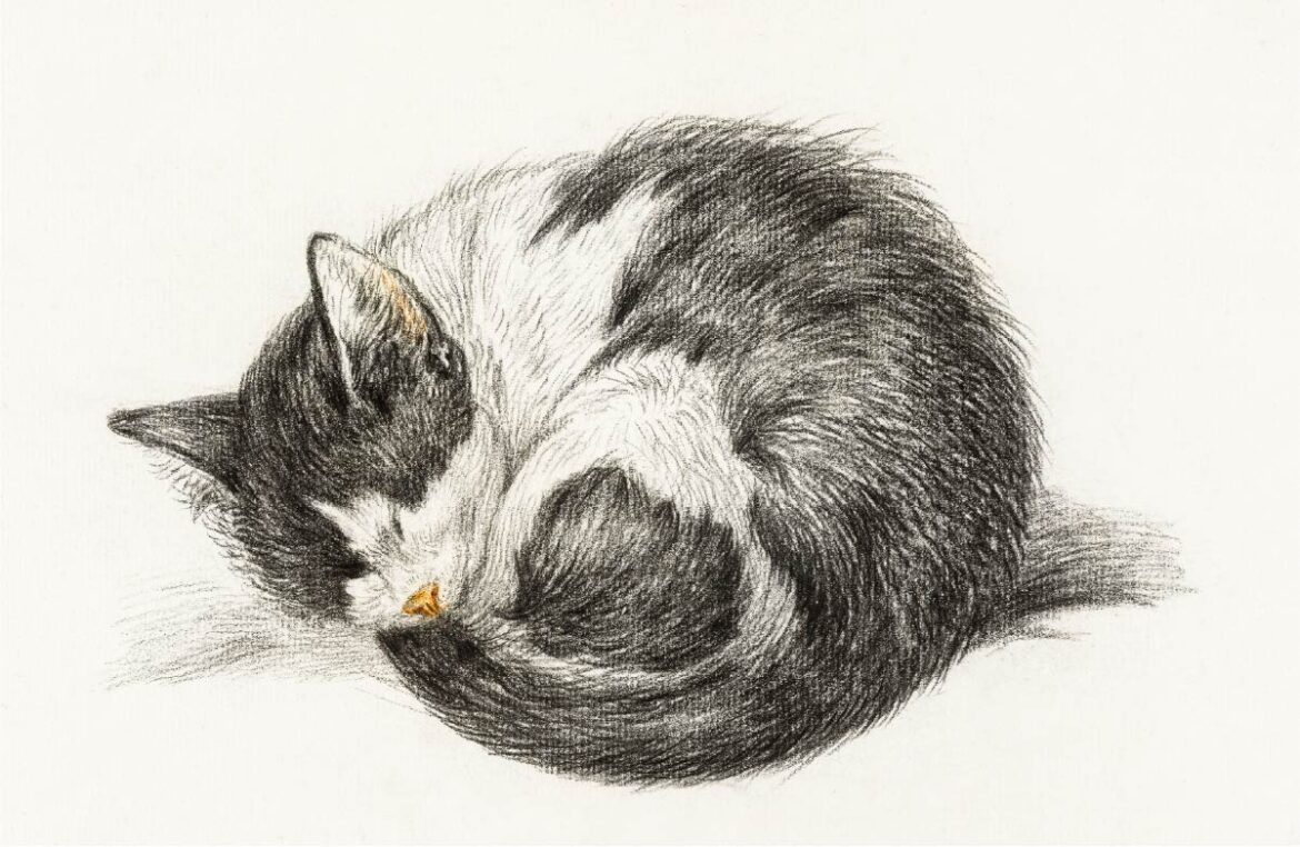 【無料壁紙】ジャン・ベルナール「丸まって眠る猫 (1825)」 / Jean Bernard_Rolled up lying sleeping cat (1825)