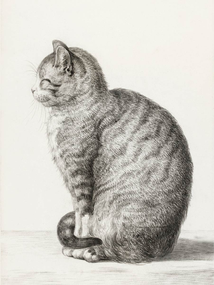 【無料壁紙】ジャン・ベルナール「座る猫 (1815)」 / Jean Bernard_Sitting cat (1815)