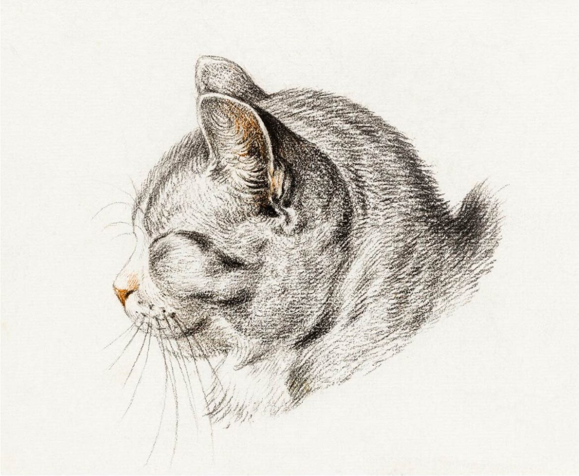 【無料壁紙】ジャン・ベルナール「猫のスケッチ-横 (1813)」 / Jean Bernard_Sketch of a cat (1813)