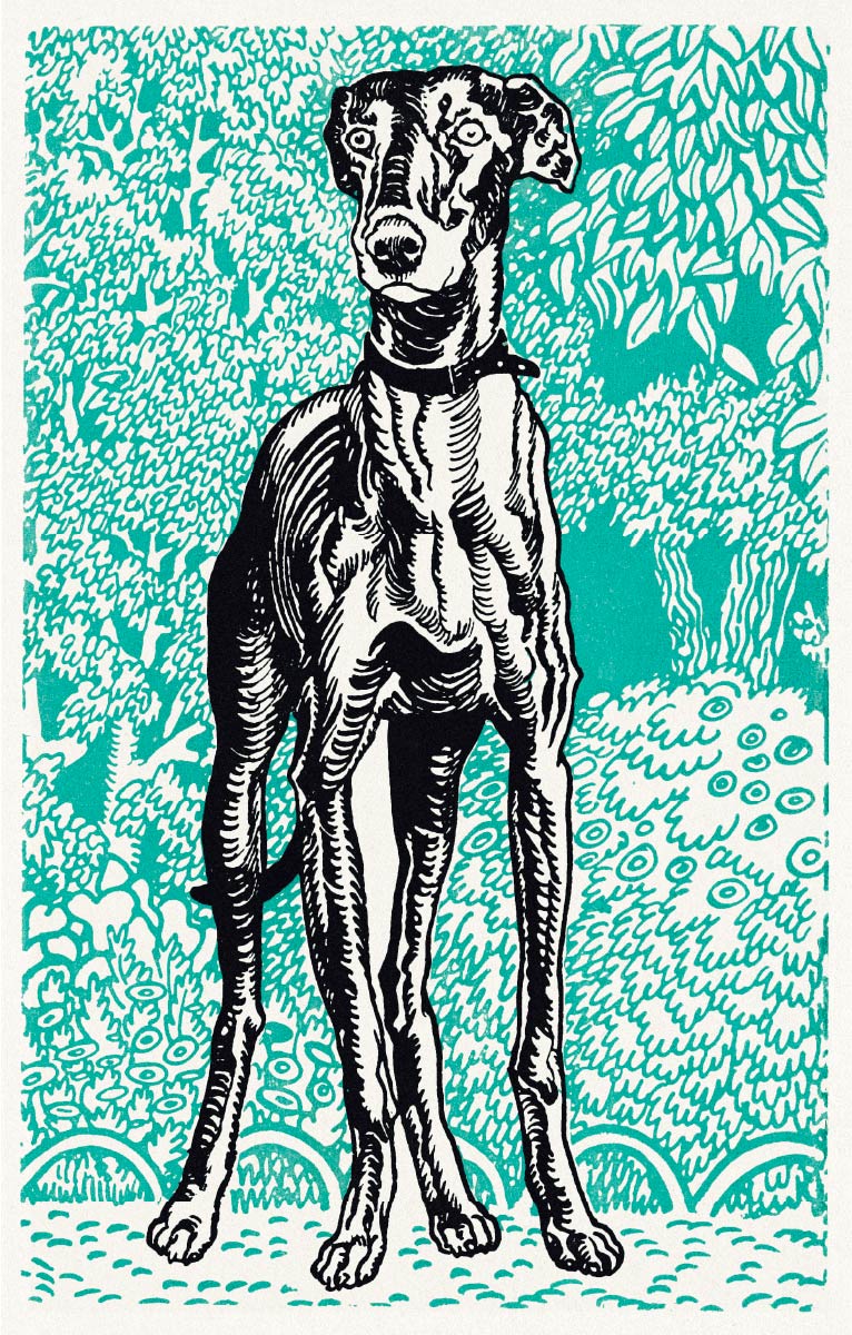 【無料壁紙】モーリッツ・ジャング_グレイハウンド (1) / Moriz Jung_Greyhound (1912)