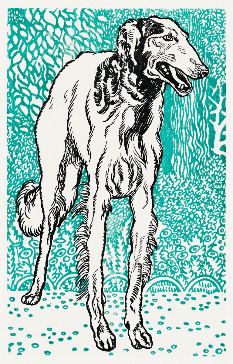 【無料壁紙】モーリッツ・ジャング_グレイハウンド (2) / Moriz Jung_Greyhound-2 (1912)