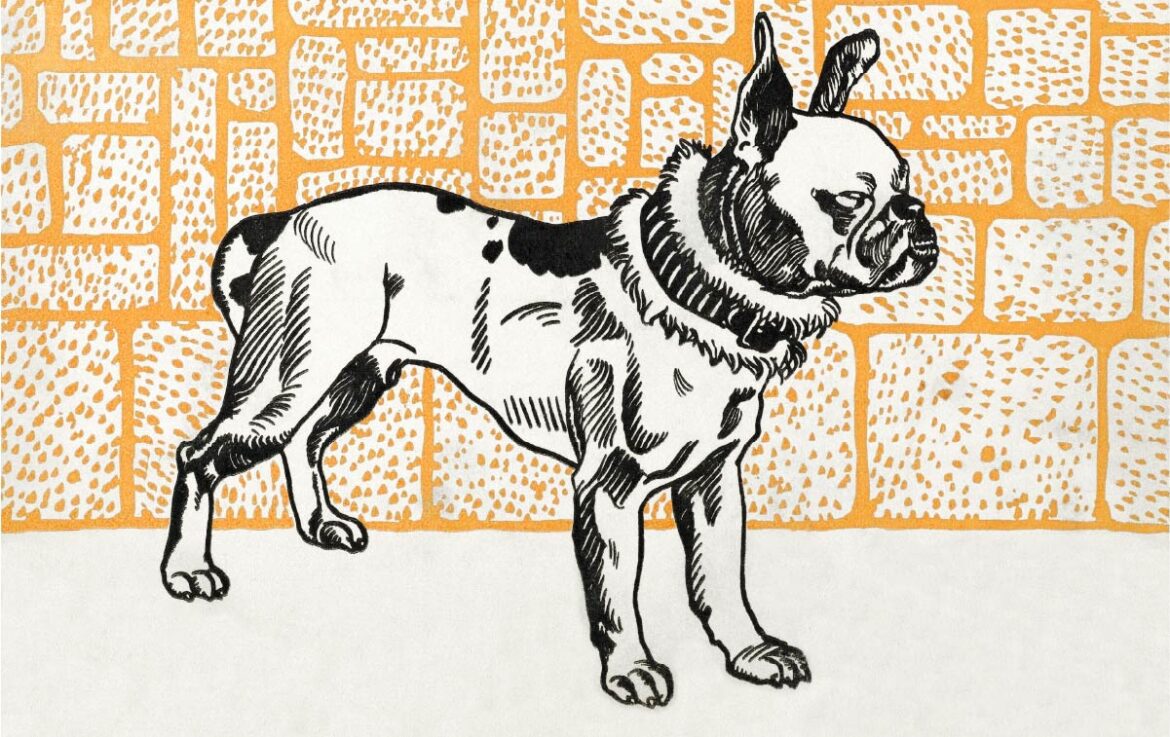 【無料壁紙】モーリッツ・ジャング_アメリカンピットブルテリア / Moriz Jung_Pitbull Terrier (1912)