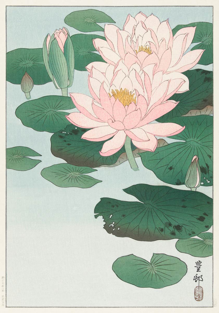 【無料壁紙】小原 古邨「睡蓮(1920-1930)」 / Ohara Koson_Water Lily (1920 – 1930)