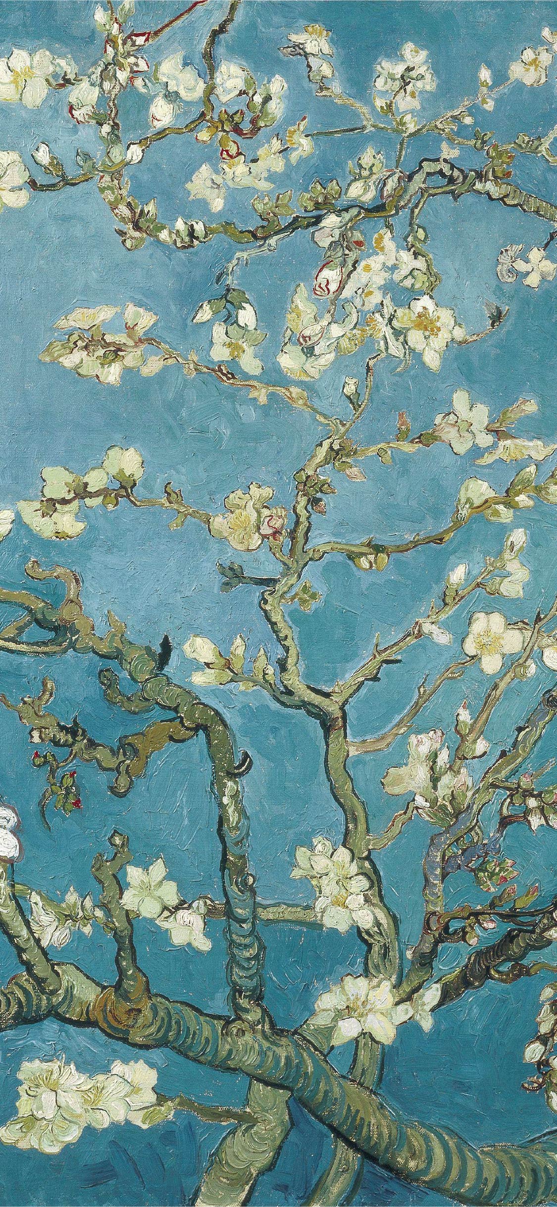 イタリア製 巨大絵画 ゴッホ『花咲くアーモンドの木』 額絵 絵画 アート パネル イタリア製 巨大絵画 ゴッホ『花咲くアーモンドの木』 額絵 絵画, image size:1125x2436