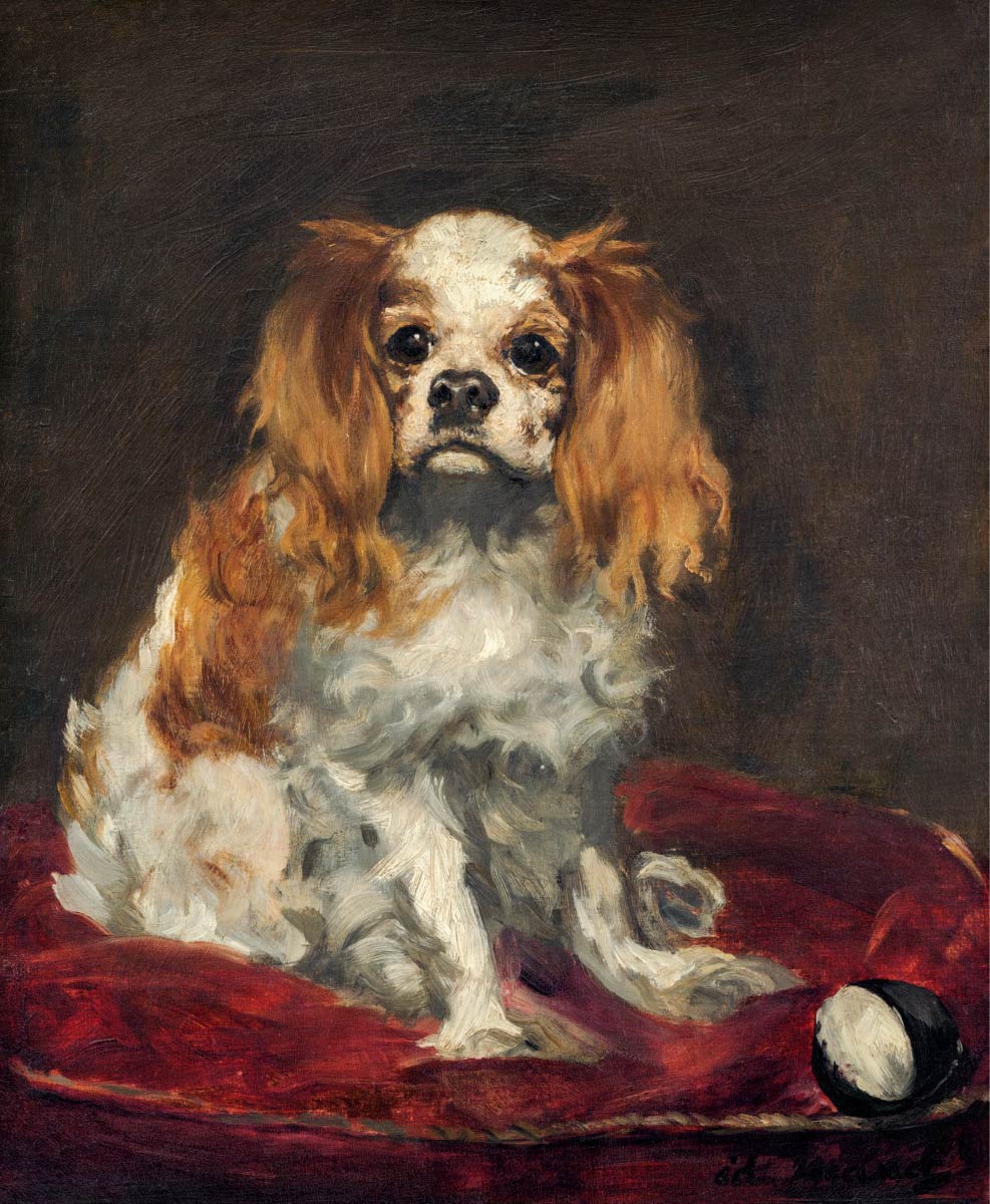 【無料壁紙】エドゥアール・マネ「キング・チャールズ・スパニエル (c.1866)」 / Edouard Manet_A King Charles Spaniel (c.1866)