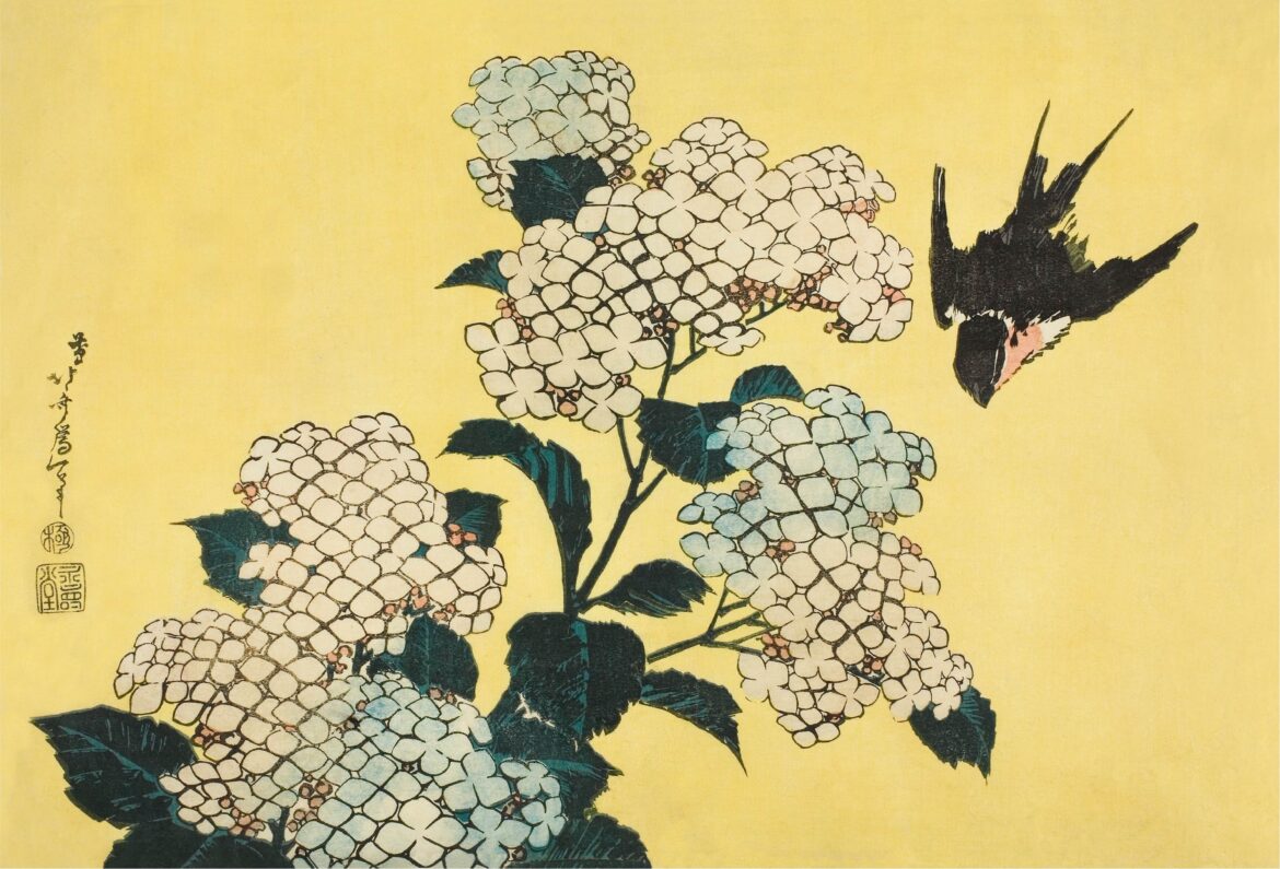 【無料壁紙】葛飾 北斎「花鳥画集-紫陽花に燕 (1833-1834頃)」 / Katsushika Hokusai_Hydrangea and Swallow (c.1833-1834)
