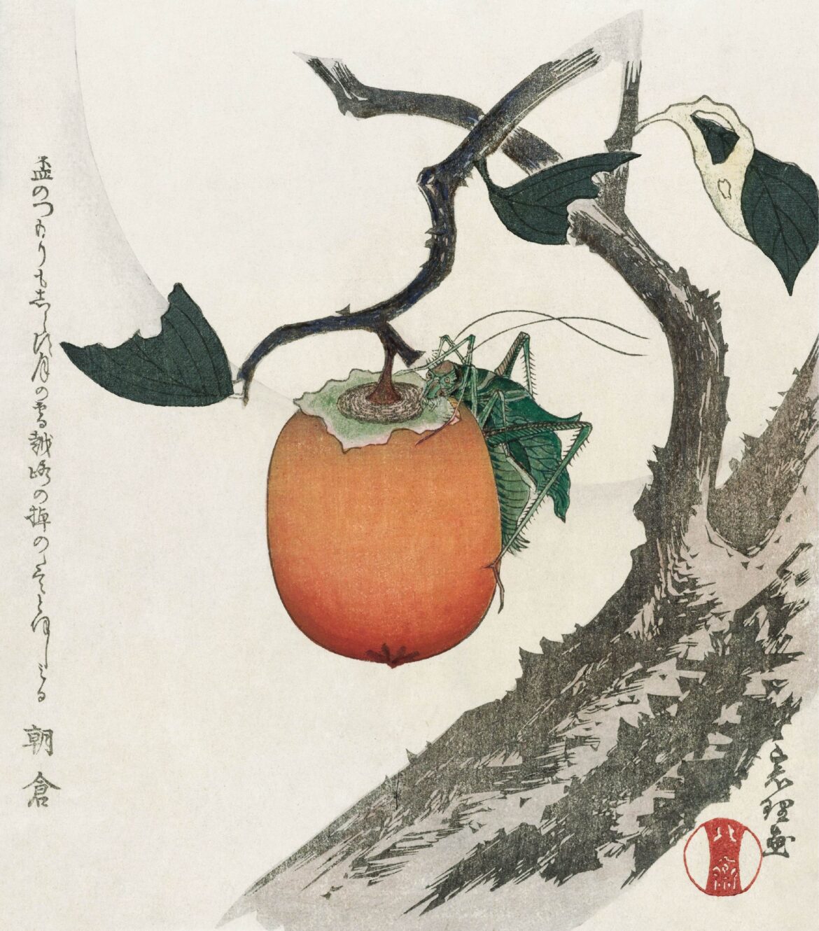 【無料壁紙】葛飾 北斎「柿の実とバッタ (1890-1900頃)」 / Katsushika Hokusai_Kakivrucht met sprinkhaan (ca. 1890–1900)
