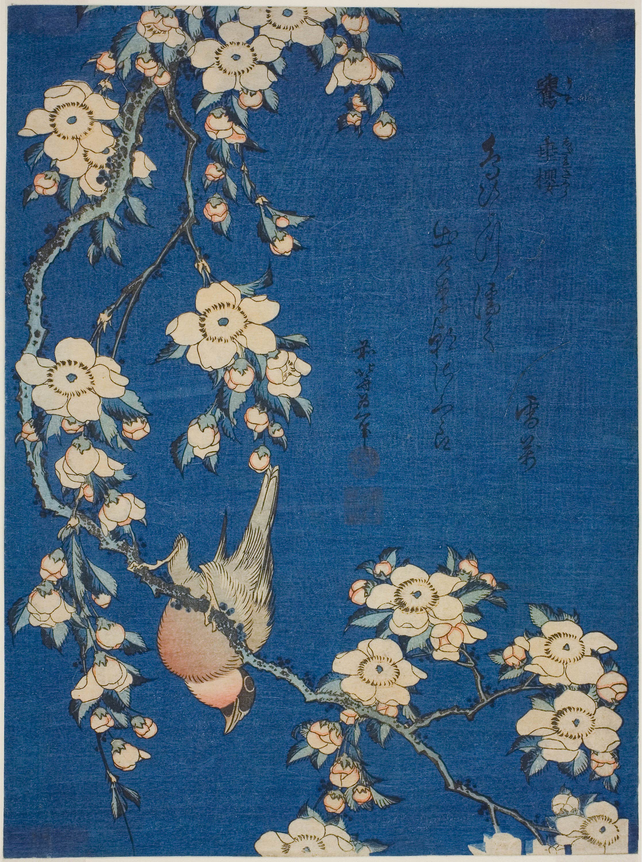 無料壁紙】葛飾 北斎「鷽に垂桜 (1834)」 / Katsushika Hokusai_Uso ni