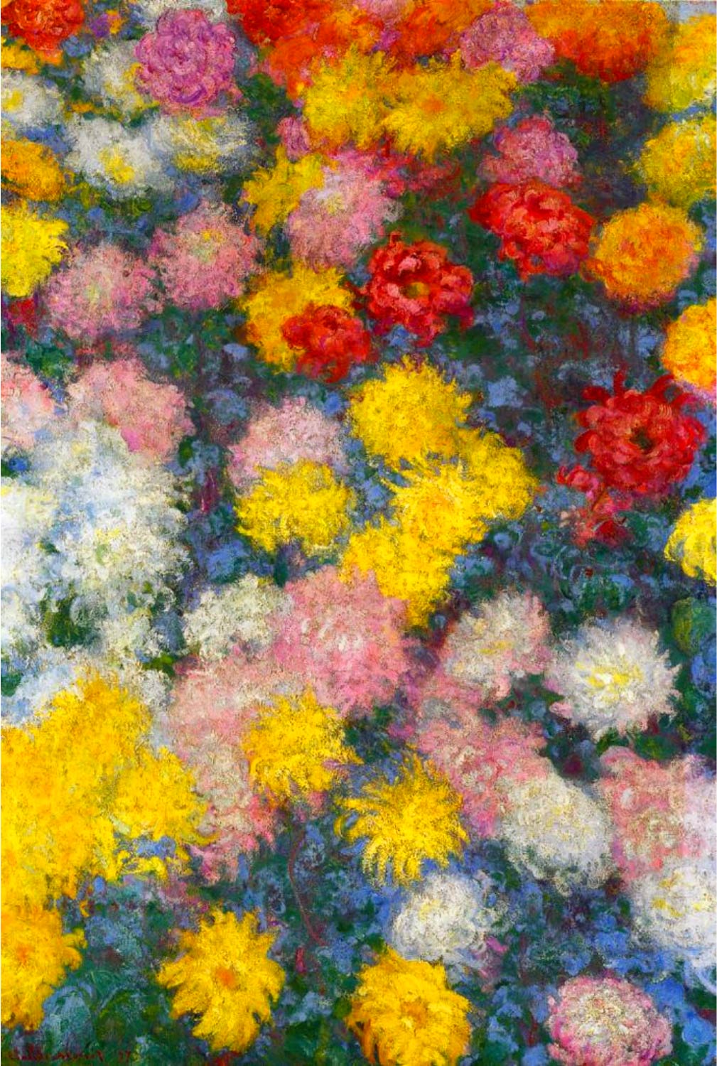 【無料壁紙】クロード・モネ「菊 (1897)」 / Claude Monet_Chrysanthemums (1897)
