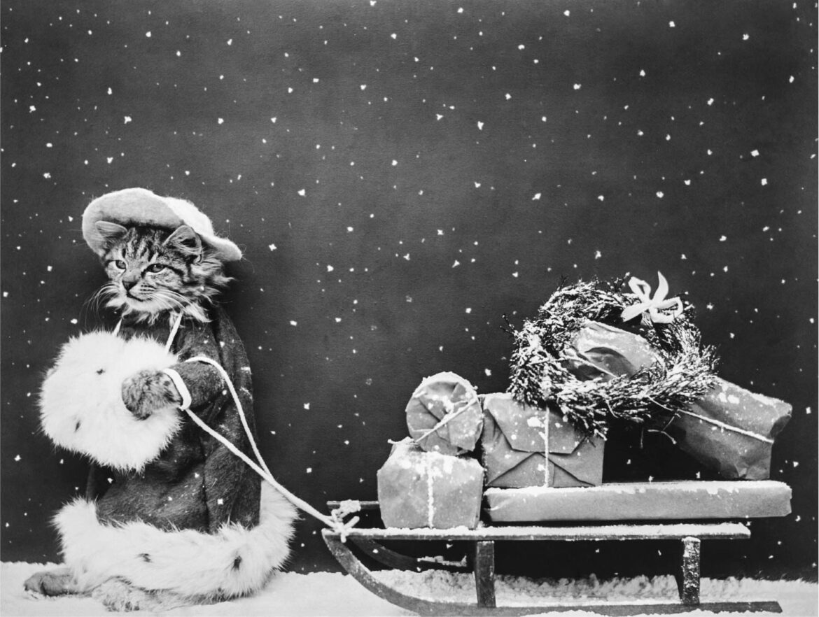 【無料壁紙】猫サンタ (1914) / Santa Cat Still Image (1914) from The Miriam and Ira D. Wallach Division of Art, Prints and Photographs