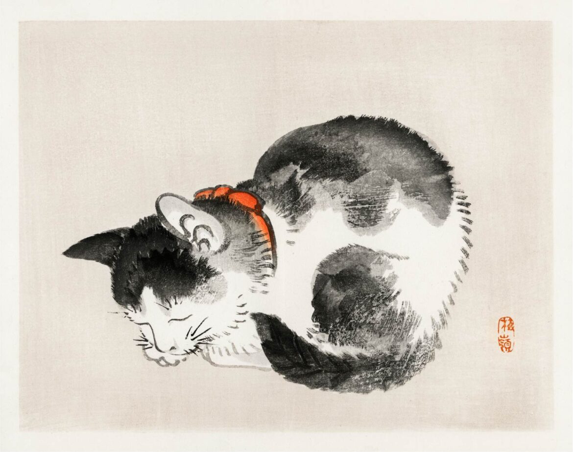 【無料壁紙】幸野 楳嶺「眠る猫」 / Kōno Bairei_Sleeping cat