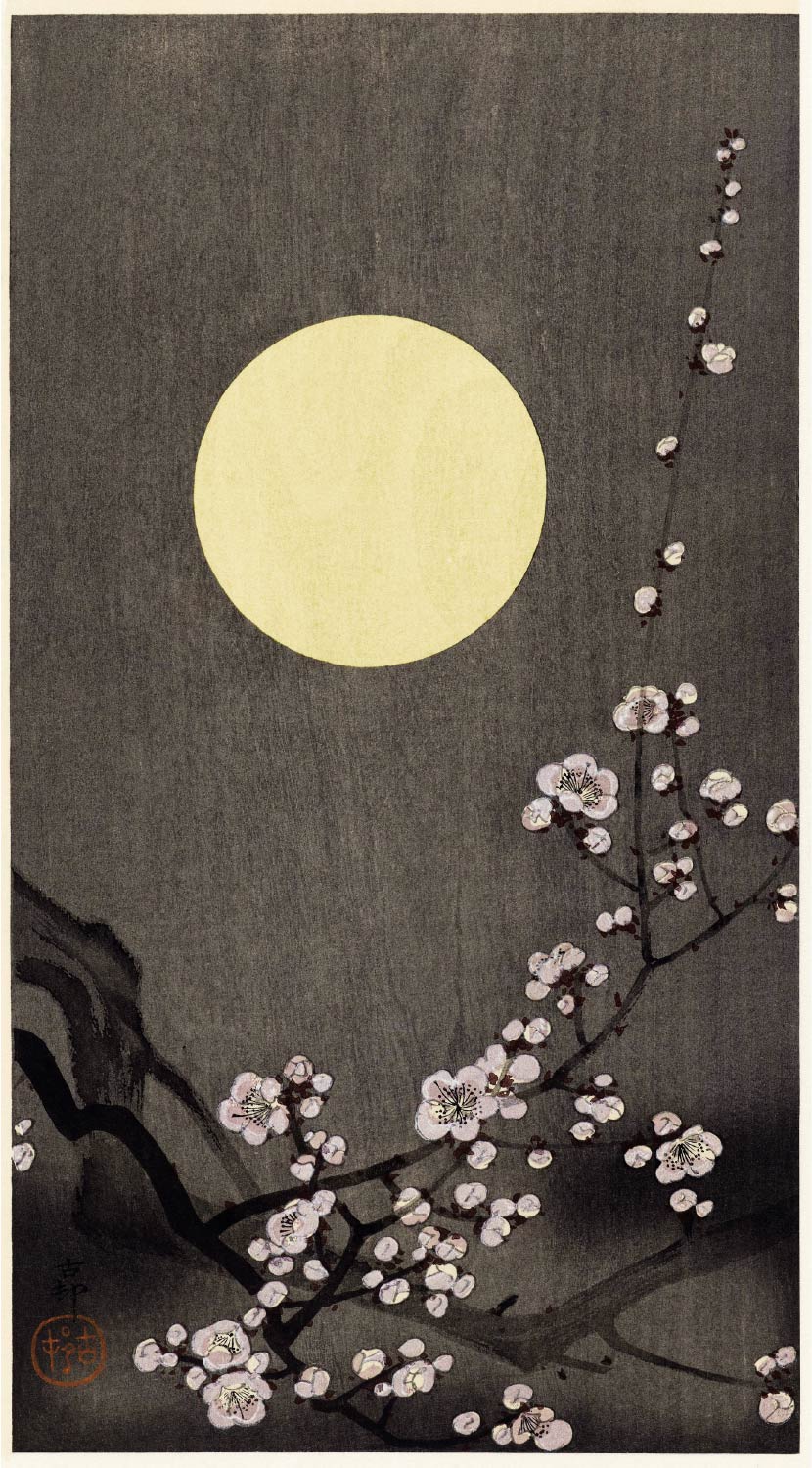 【無料壁紙】小原 古邨「満月に咲く梅の花 (1900-1936)」 / Ohara Koson_Blooming plum blossom at full moon (1900-1936)