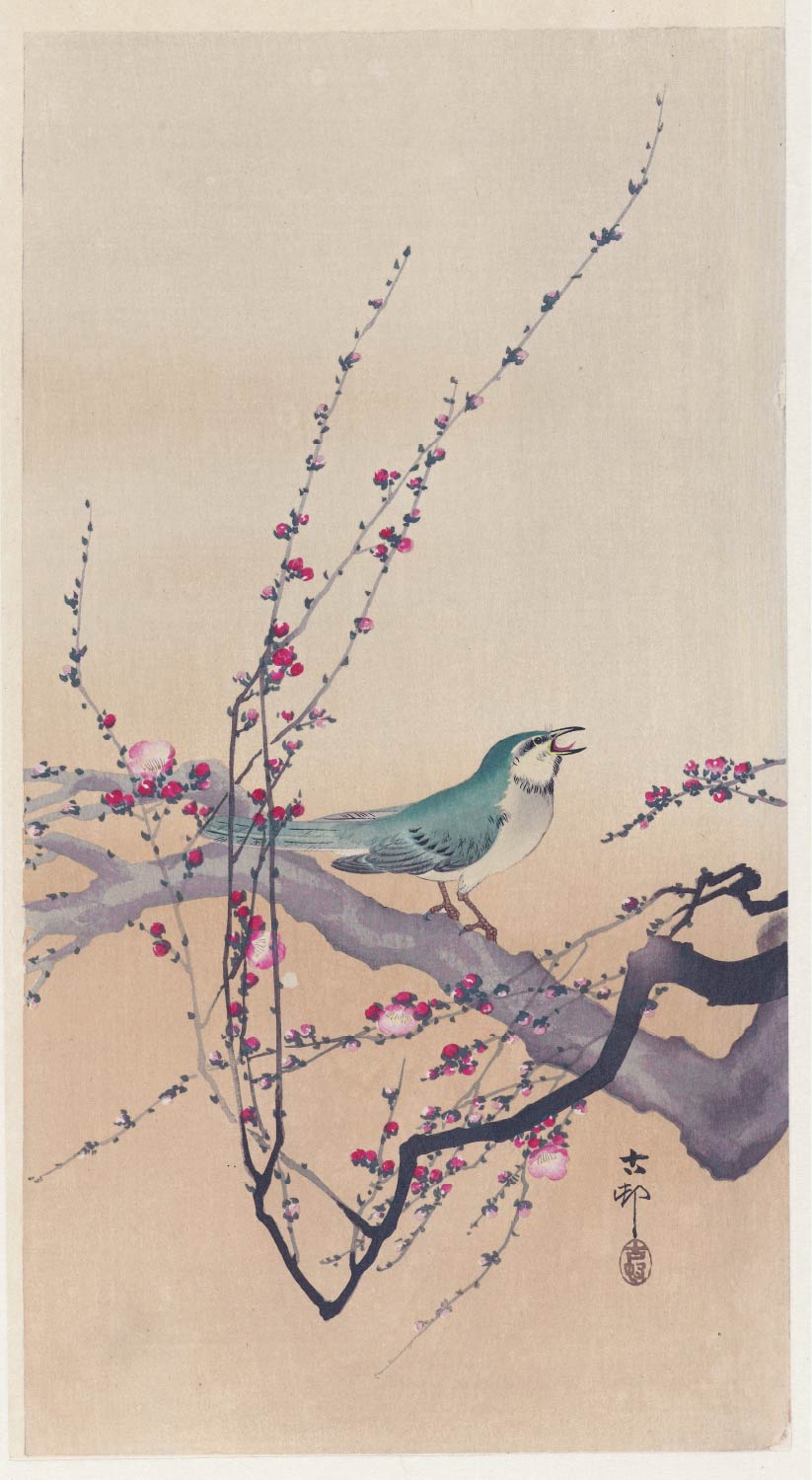 【無料壁紙】小原 古邨「梅に鴬 (1900-1936)」 / Ohara Koson_Songbird and plum blossom (1900-1936)