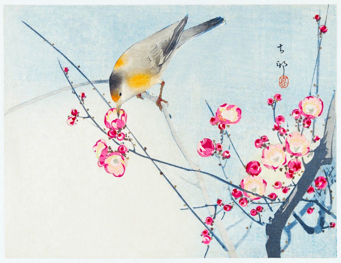 【無料壁紙】小原 古邨「梅に鶯 (1900-1936)」 / Ohara Koson_Songbird on blossom branch (1900-1936)