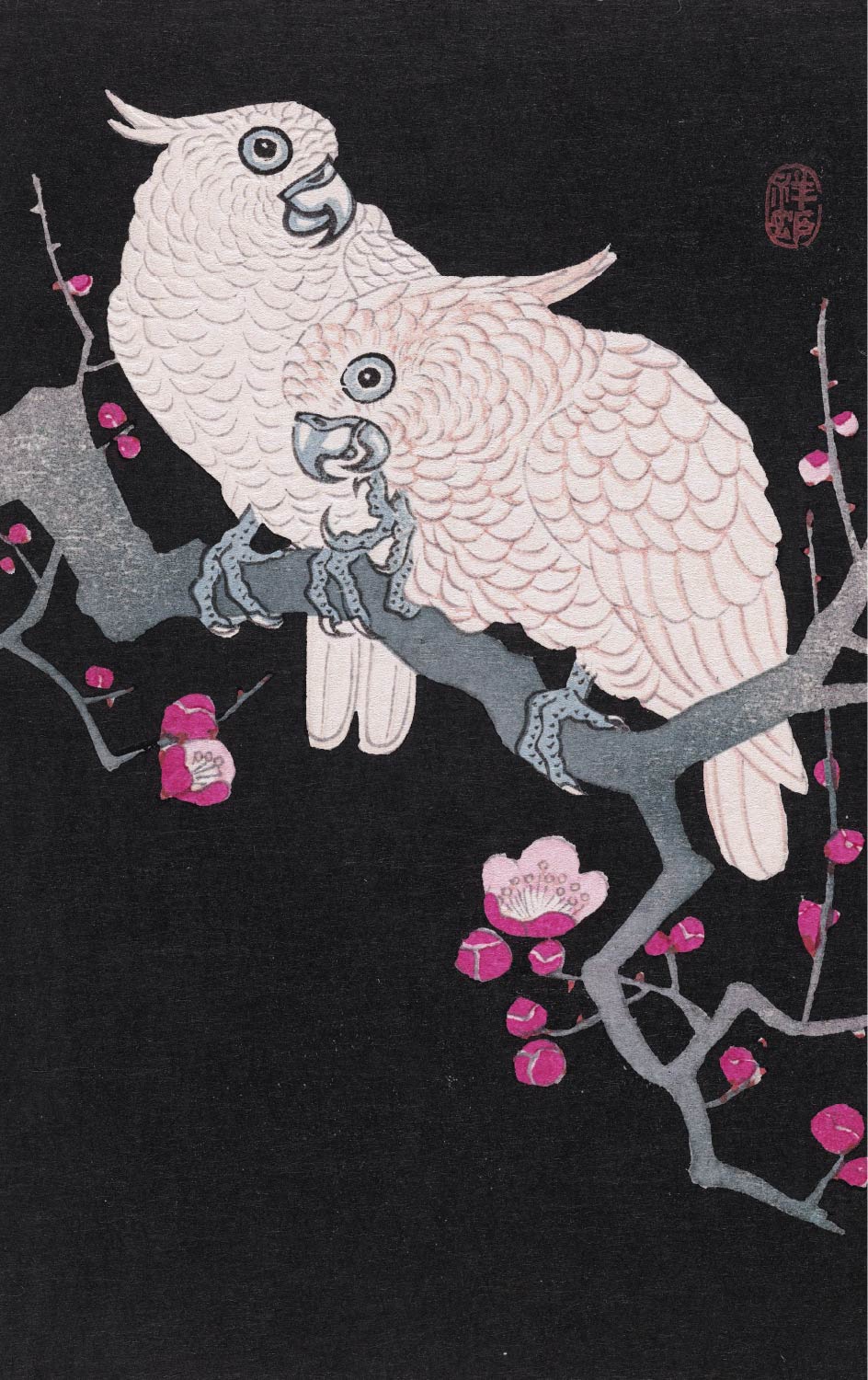 【無料壁紙】小原 古邨「二羽のオウムと梅の花 (1925-1936)」 / Ohara Koson_Two cockatoo and plum blossom (1925-1936)