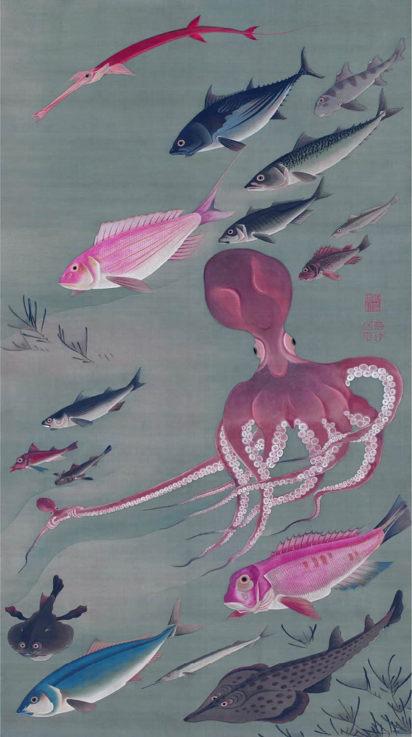 【無料壁紙】伊藤 若冲「諸魚図 (1766頃)」 / Ito Jakuchu_Shogyo-zu(Fish and octopus) (ca.1766)
