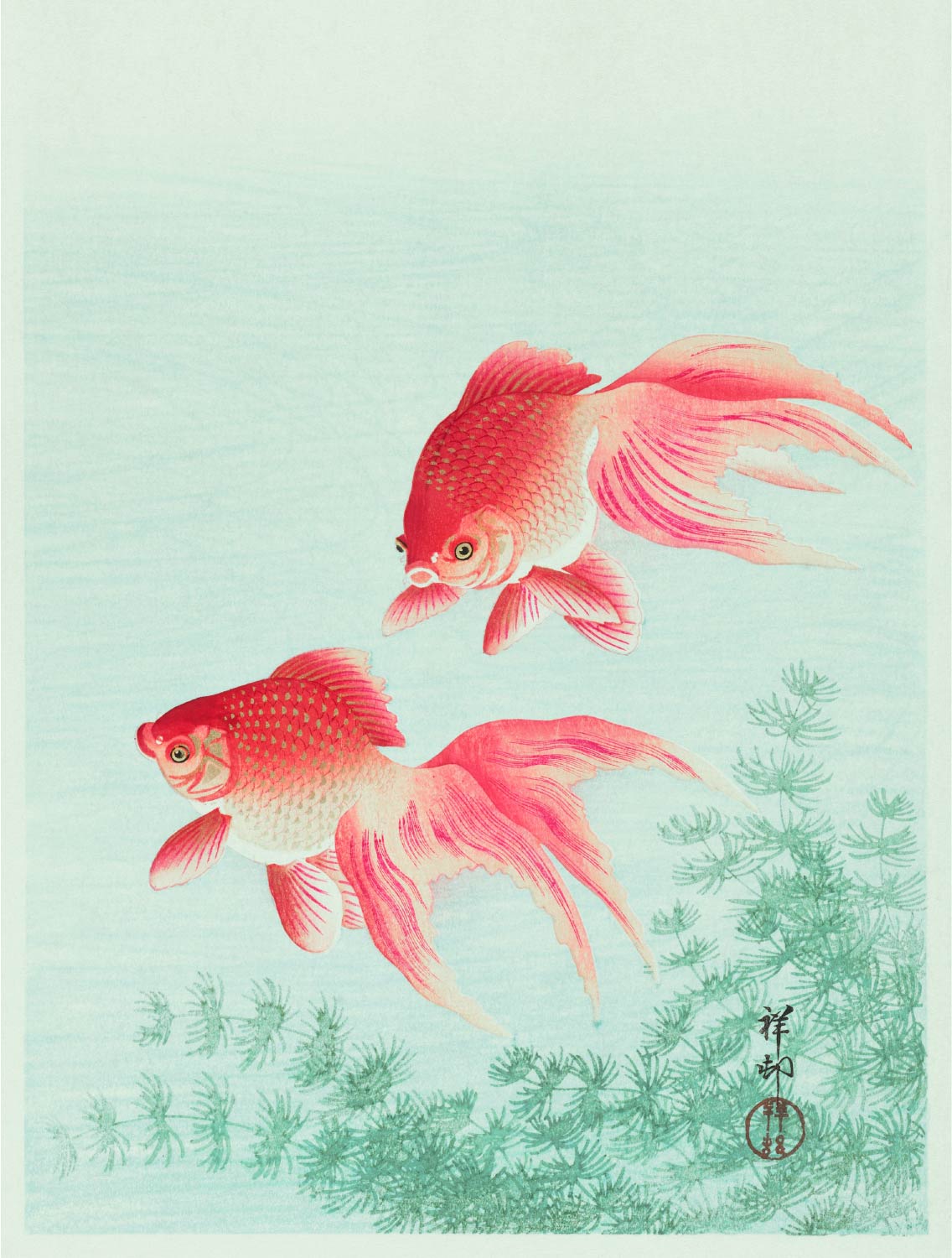 【無料壁紙】小原 古邨「金魚 (1926)」 / Ohara Koson_Two veil goldfish (1926)