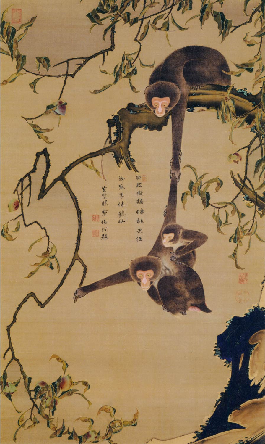 【無料壁紙】伊藤 若冲「猿猴摘桃図 (1773-1774)」 / Ito Jakuchu_Enko Tekito-zu (1773-1774)