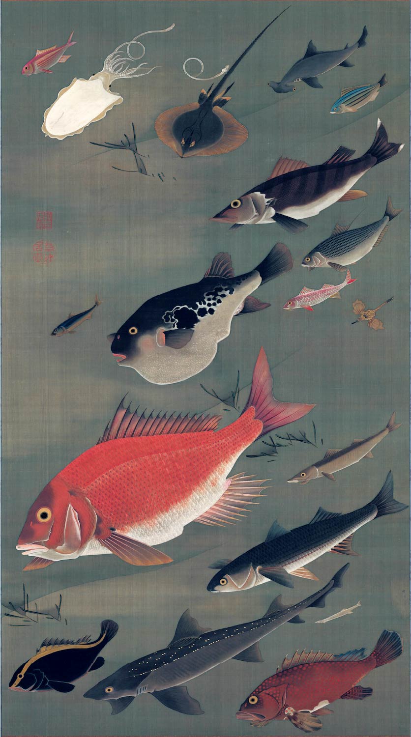 【無料壁紙】伊藤 若冲「群魚図 (1766頃)」 / Ito Jakuchu_Gungyo-zu (Fish) (ca.1766)