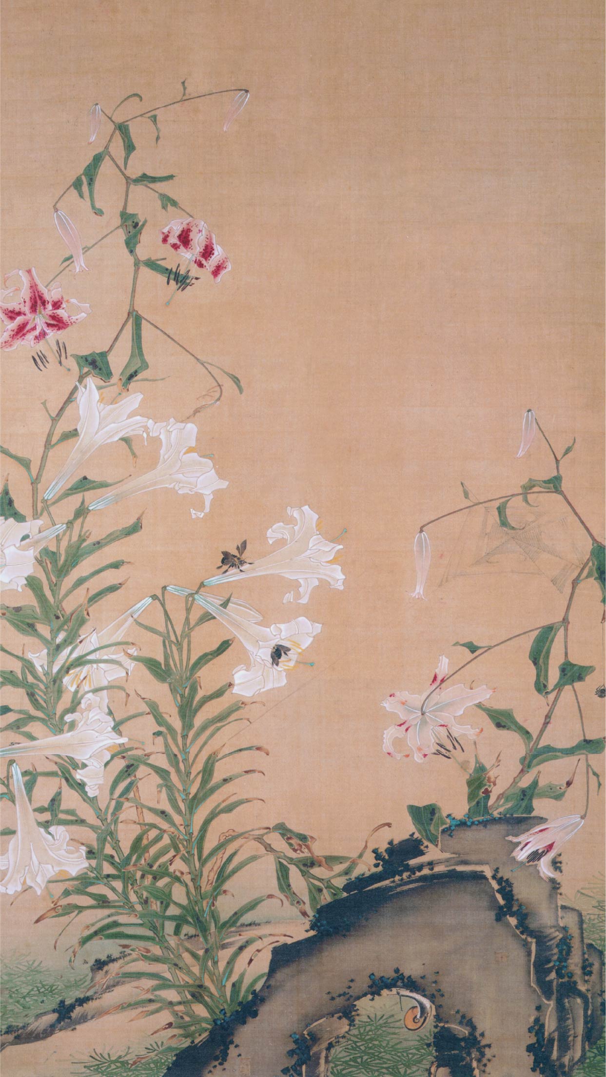 ☆床の間には優しさと存在感のある☆掛軸 春挙 画題：宇志 共箱付き ｜掛軸