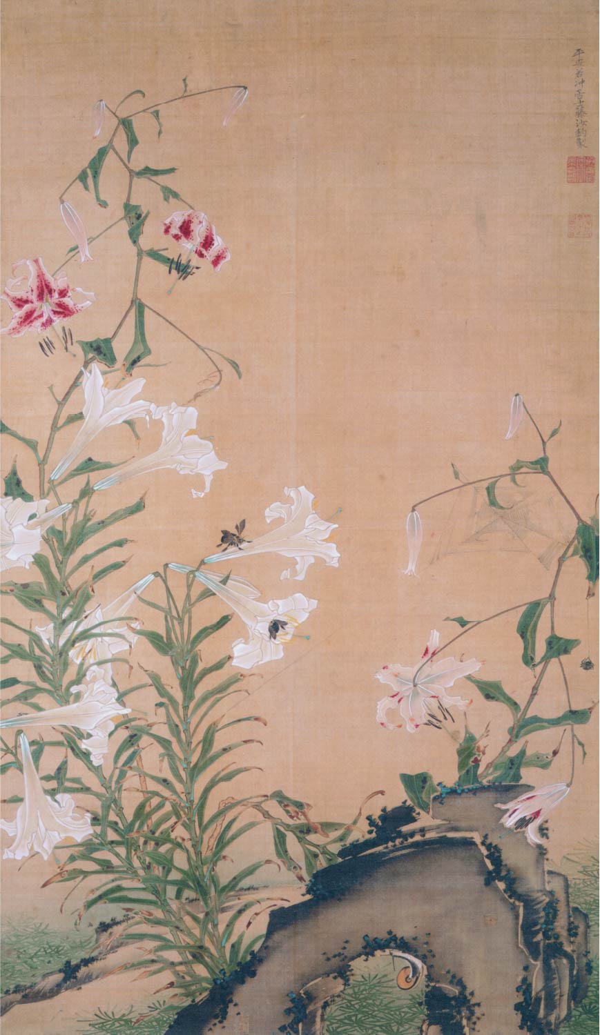 【無料壁紙】伊藤 若冲「百合図 (1747-1751)」 / Ito Jakuchu_Yuri-zu (Lilies) (1747-1751)