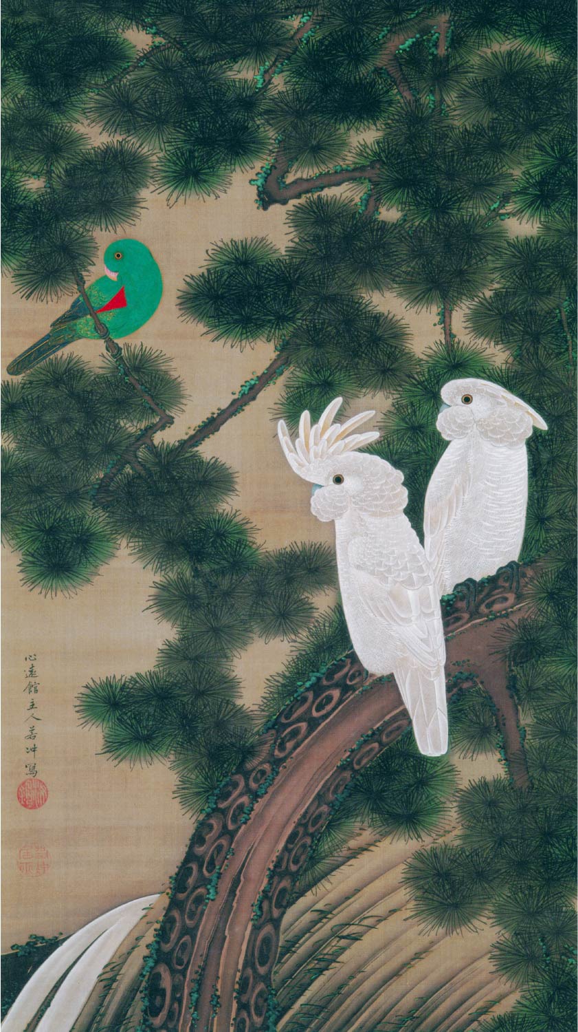 【無料壁紙】伊藤 若冲「老松鸚鵡図 (18世紀)」 / Ito Jakuchu_Rosho Omu-zu (Old Pine Tree and Cockatoos) (18th century)